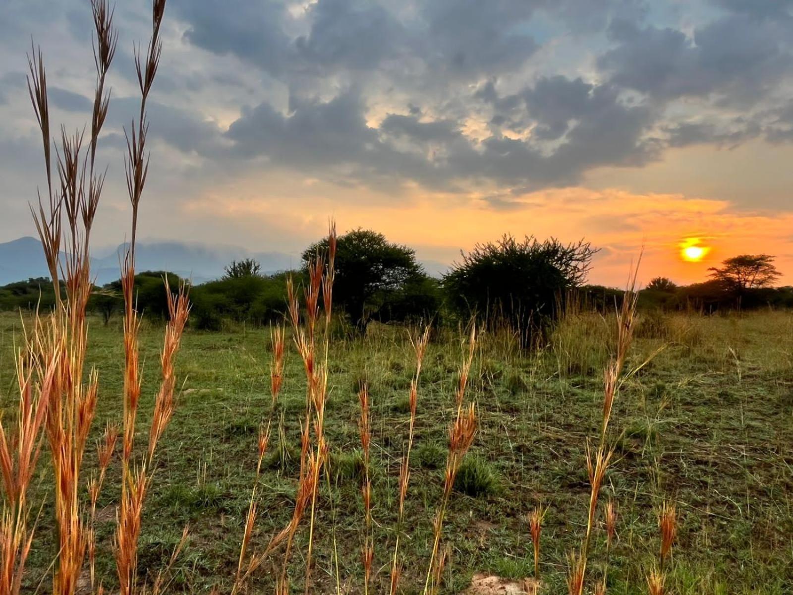 Thabazimbi Bushveld Self Catering Accommodation Dış mekan fotoğraf